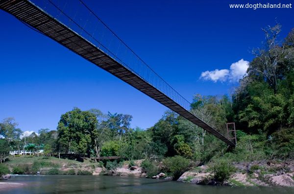 น่าน หมาพักได้ แนะนำที่เที่ยวที่พัก โรงแรม รีสอร์ต บังกะโล ต้อนรับสัตว์เลี้ยง ทั้งหมด