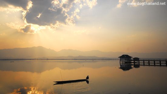 พะเยา หมาพักได้ แนะนำที่เที่ยวที่พัก โรงแรม รีสอร์ต บังกะโล ต้อนรับสัตว์เลี้ยง