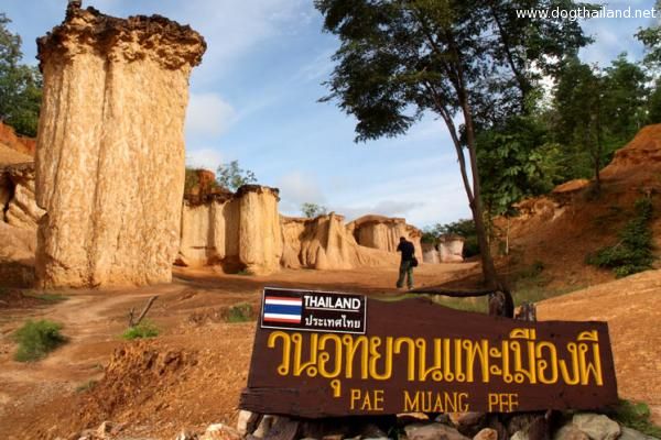 แพร่ หมาพักได้ แนะนำที่เที่ยวที่พัก โรงแรม รีสอร์ต บังกะโล ต้อนรับสัตว์เลี้ยง ทั้งหมด