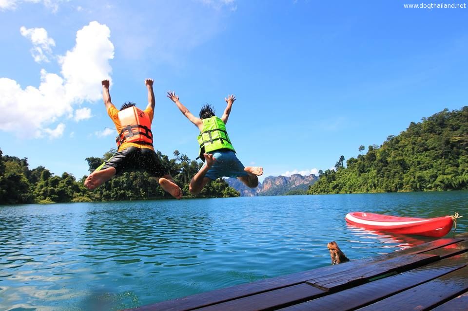 สุราษฎร์ธานี หมาพักได้ แนะนำที่เที่ยวที่พัก โรงแรม รีสอร์ต บังกะโล ต้อนรับสัตว์เลี้ยง