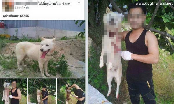 ฆ่าหมาโชว์ลงเฟส ผู้บ่าวกินหมา เชือดคอถลกหนังอวดโซเชียลโดนด่า รุมประนามสุดๆ