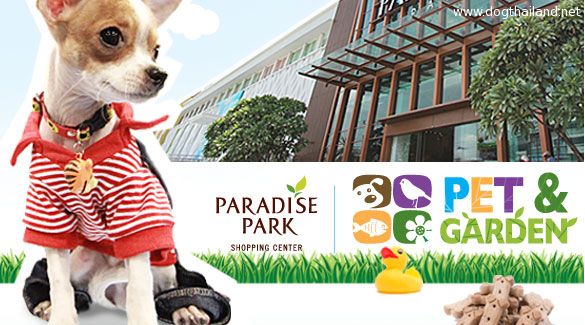 ห้างสัตว์เลี้ยงเข้าได้ในกรุงเทพฯ ปี 2025