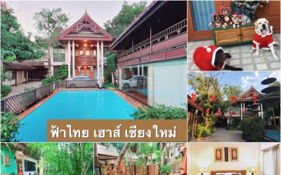 ฟ้าไทย เฮาส์ เชียงใหม่ (Phathai House Chiangmai)  Pet Friendly Hotel ใจกลางเมืองเชียงใหม่ สัตว์เลี้ยงเข้าพักฟรีจ้า พาหมาเที่ยวเชียงใหม่