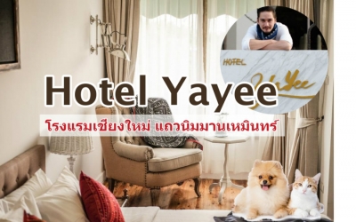 Yayee Hotel เชียงใหม่ น้องหมาพักได้ โรงแรม อนันดา เอเวอร์ริ่งแฮม ใกล้ย่านนิมมานเหมินท์