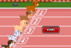 Puppy Racer เกมส์เลี้ยงสุนัข เกมหมาๆ วิ่งแข่งกันสนุกๆ
