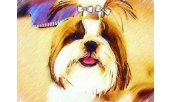 ทำภาพน้องหมาเป็นภาพวาดด้วย Virtual Painter