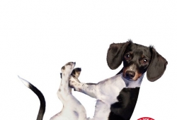 สุนัขต่างจากผู้ชายตรงไหน