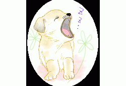 ภาพลายเส้น แบบหมาหมา