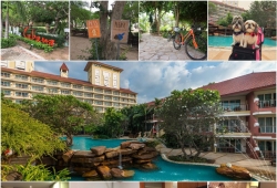 รีวิวที่พักสัตว์เลี้ยงเข้าพักได้ Bella Villa Cabana Pattaya โรงแรมติดทะเล สัตว์เลี้ยงเข้าพักฟรี พัทยา ชลบุรี