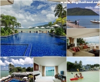 ซิเรนิตี้ รีสอร์ท แอนด์ เรสซิเดนซ์ ภูเก็ต (Serenity Resort & Residences Phuket) หาดราไวย์ สุนัขพักได้ ภูเก็ต