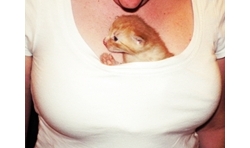 อยากเป็นแมว...จังเลย