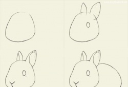 วาดกระต่าย การ์ตูนกระต่ายให้น่ารักๆ ง่ายนิดเดียว How to draw bunny