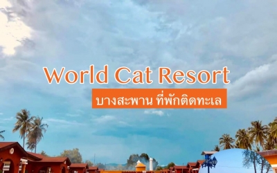 World Cat Resort บางสะพาน ที่พักติดทะเล น้องหมาเข้าพักได้ทุกสายพันธ์