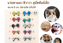 แว่นตาหมาแมว กว้าง 8 ซม. แฟชั่นนิสต้า หมาแมวน่ารัก มีทั้งขายปลีก ขายส่ง