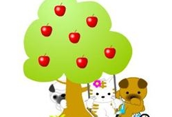 Flash น้องหมาแมว น่ารักมาก