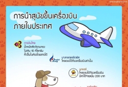 การนําสุนัขขึ้นเครื่องบิน สายการบินไหนให้น้องหมาขึ้นเครื่องนั่งที่ผู้โดยสารได้