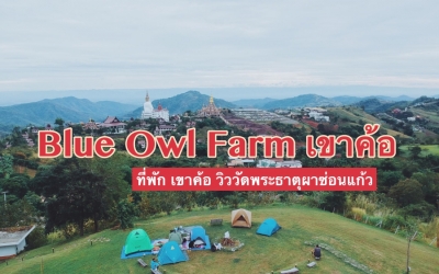 บลู อาวล์ ฟาร์ม Blue Owl Farm ที่พักเขาค้อ วิววัดพระธาตุผาซ่อนแก้ว มีลานกางเต้นท์หมาพักได้