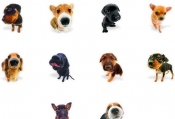 pet dog – PNG Icons ไอคอนหมา สุนัข หัวโต น่ารักๆ