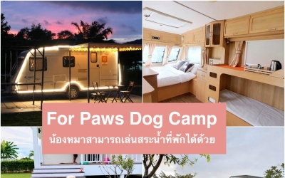 พาหมาเที่ยวทะเลหาดเจ้าหลาว For Paws Dog Camp ที่พักจันทบุรี สุนัขพักได้ น้องหมาสามารถเล่นสระน้ำที่พักได้ด้วย เพลินกันเลย