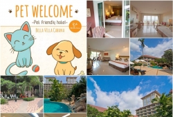 Bella Villa Cabana Pattaya โรงแรมติดทะเล สัตว์เลี้ยงเข้าพักฟรี พัทยา ชลบุรี