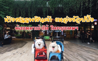 ห้างสรรพสินค้า หมาเข้าได้ ในกรุงเทพอนุญาติให้สุนัขเข้าได้ ที่เที่ยวคนรักสุนัข พาน้องหมาแมวเที่ยว