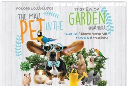 The Mall Bangkae Pet in The Garden 17 - 23 มี.ค. นี้ มาต้อนรับ Summer คนรักสัตว์ต้องไม่พลาด