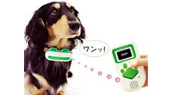 Dog Caller  ปลอกคอสุนัข สามารถส่ง SMS ถึงคุณได้ สุดเจ๋ง สำหรับคนรักสุนัข