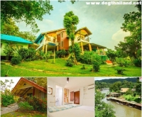 แฮปปี้เนส รีสอร์ท (Happiness Resort) บ้านพักและแพนอนริมแม่น้ำแควน้อย กาญจบุรี สุนัขพักได้ ฟรี