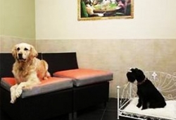 โรงแรมน้องหมาสุดหรูแห่งแรกในปารีส