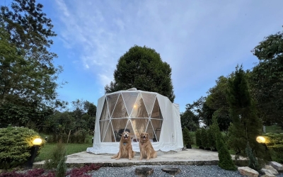 KAMP KAFF Chanthaburi ที่พักแค้มปิ้ง สไตล์แคนาดา ที่พักจันทบุรีสุนัขพักได้ ใกล้เขาคิชฌกูฏ​ มีลานกางเต็นท์ หมาใหญ่พักได้