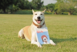 “กลูต้า-กอลลั่ม”  สุนัขจรจัดพันธุ์ไทย ที่มีความสุขที่สุดในโลก