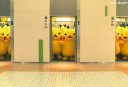 Pikachu (Pokémon) ว้าวว จะไปไหนกันเนี้ยะ น่ารัก