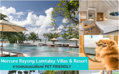 Mercure Rayong Lomtalay Villas & Resort ที่พักติดทะเลระยอง สัตว์เลี้ยงพักได้ หาดแหลมแม่พิมพ์ PET FRIENDLY สวยฟินกันสุดๆ พาน้องหมาแมวเที่ยวทะเลกัน