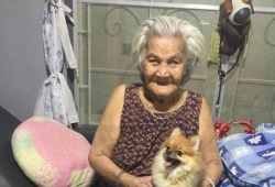 น้องมีตัง ได้กลับบ้านแล้ว คุณย่าวัย 95 ปี สุดดีใจ ได้หมาสุดรักคืนแล้ว หลังหายตัวไป-เอาแต่นั่งรอหน้าบ้าน ดีใจด้วย