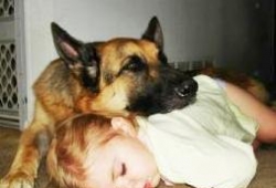 อยากให้คนรักสุนัขได้ฟังกัน โดนมาก