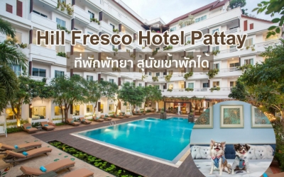 Hill Fresco Hotel Pattaya ที่พักพัทยา สุนัขเข้าพักได้ พาน้องหมาเที่ยวทะเลพัทยา มีที่พักหายห่วง