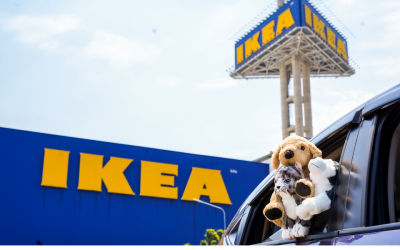 IKEA Thailand ให้น้องหมาแมวเข้าไปเดินกับเจ้าของได้แล้วนะ พาน้องหมาแมวไปช้อปกัน