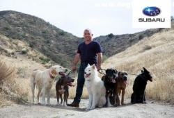 Subaru Loves Pets พบกับ มร.ซีซาร์ มิลลาน คนสอนสุนัขชื่อดังระดับโลกมาไทย  21 พฤษภาคม เซ็นทรัลเวิลด์