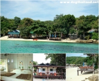 เกาะเสม็ด อ่าวลุงดำ ระยอง เจลลี ฟิช บังกะโล (Jelly Fish Bungalow) สุนัขพักได้ฟรี