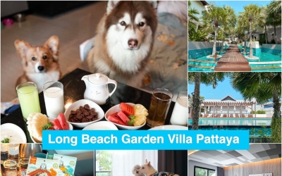 พาสุนัขเที่ยวทะเลพัทยา Long Beach Garden Villa Pattaya ที่พักพัทยา สุนัขพักได้  Pet Friendly hotel ระดับ 4 ดาว หมาเล็กใหญ่เข้าพักได้ชิวๆ