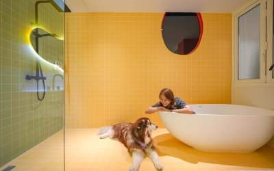 The Fig Lobby โรงแรมน้องหมาแมวพักได้ กรุงเทพ ใจกลางคลองเตย สีสันสดใส หมาใหญ่พักได้ด้วย