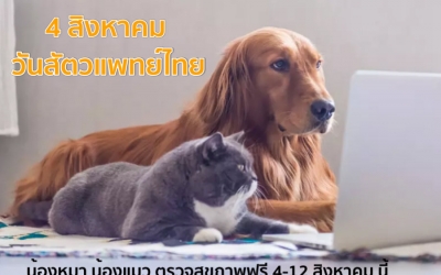 น้องหมา น้องแมว ตรวจสุขภาพ ทำหมันฟรี ฟรี 4-12 สิงหาคม นี้ เนื่องในวัน วันสัตวแพทย์ไทย ที่สถานพยาบาลกว่า 200 แห่งทั่วประเทศ