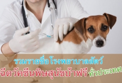 ฉีดวัคซีนพิษสุนัขบ้าฟรี รวมรายชื่อโรงพยาบาลสัตว์ คลินิคที่ช่วยกันรณรงค์หยุดยั้งโรคพิษสุนัขบ้า ทั่วประเทศไทย