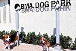 Dog Park สวนสำหรับสุนัข ใต้ทางด่วนวัชรพล-รามอินทรา สวนสาธารณะสำหรับสุนัขแห่งแรกในกรุงเทพฯ