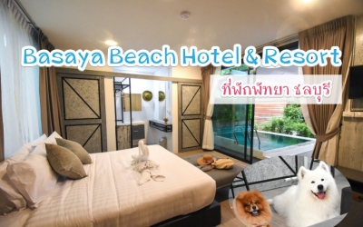 Basaya Beach Hotel & Resort ที่พักพัทยา วิวทะเล น้องหมาพักได้