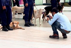 พักแป๊บนะฮับ ภาพสุนัข ตร.ปฏิบัติงานเข้มตรวจระเบิดแหล่งชุมชน (คลิป)