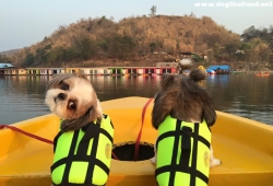 ภูนกเงือก รีสอร์ท แพกาญจนบุรี สุนัขเข้าพักได้ สวย สงบ บรรยากาศดี ของเล่นฟรีทุกชิ้น