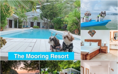 ที่พักติดทะเลภูเก็ต สัตว์เลี้ยงเข้าพักได้ The Mooring Resort Pet friendly hotel ภูเก็ต