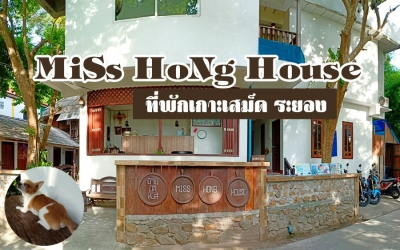 มิสหงษ์เฮาส์ MiSs HoNg House ที่พักเกาะเสม็ด ระยอง น้องหมาเข้าพักได้