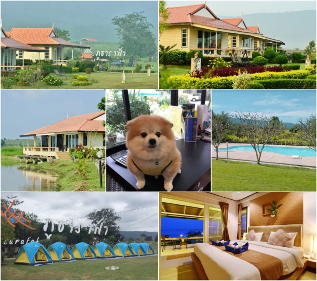 ภูธาราฟ้า รีสอร์ท วังน้ำเขียว กางเต้นท์ สุนัขเข้าพักได้ฟรี พาหมาแมวเที่ยว วังน้ำเขียว ห้องพักติดริมน้ำ อ่างเก็บน้ำลำพระเพลิง - นครราชสีมา โรงแรม  ที่พักหมาพักได้ - Pet Friendly hotel Thailand 2023 ที่พักสัตว์เลี้ยงพักได้  ที่พักสุนัขพักได้ ที่พักหมาแมวพัก ...